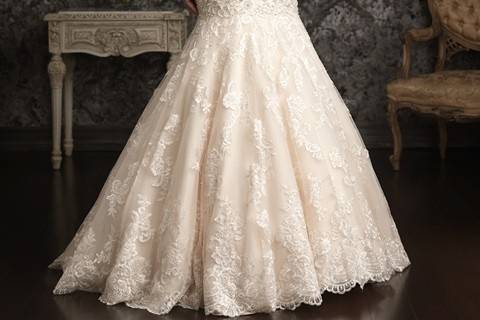 Champagne & Lace Bridal