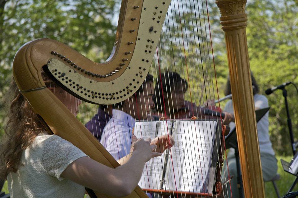 Glesni Mason, Harpist