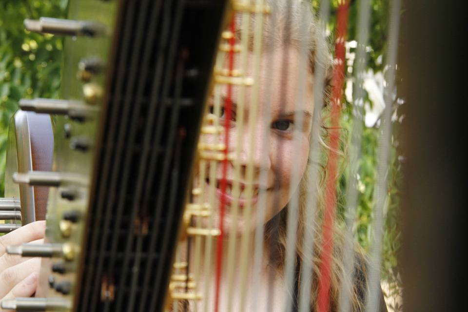 Glesni Mason, Harpist