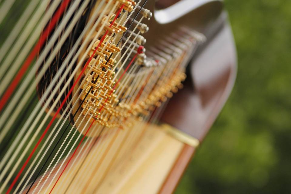 Glesni Mason, Harpist