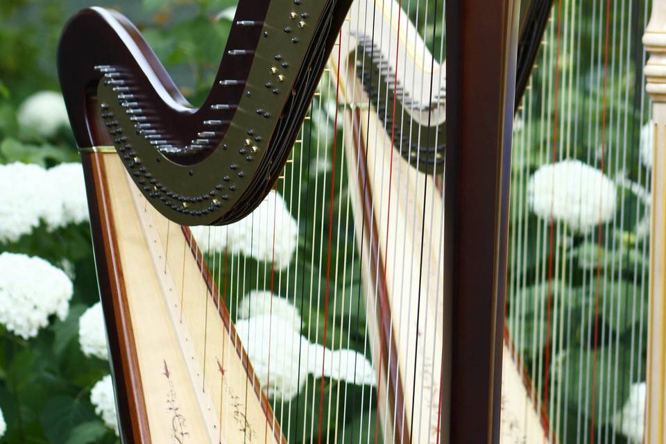 Glesni Mason, Harpist