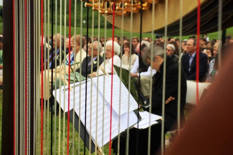 Glesni Mason, Harpist