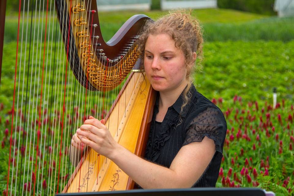 Glesni Mason, Harpist