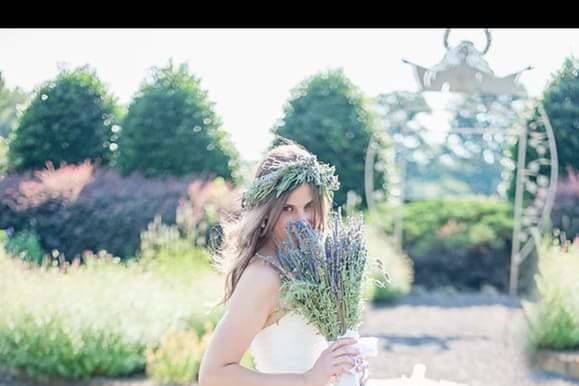 Brandi Leigh Photography