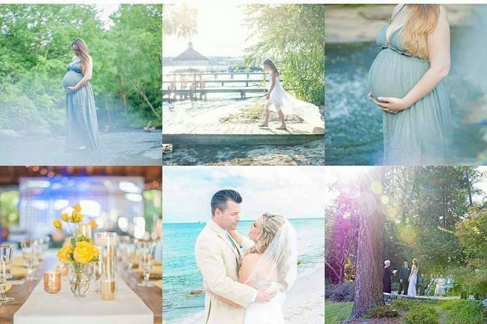 Brandi Leigh Photography