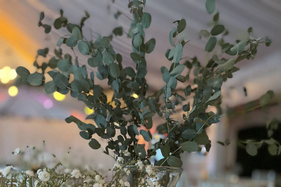Baby's breath and greenery