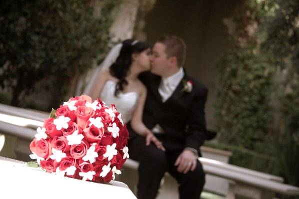 Paradise Design & Photography
