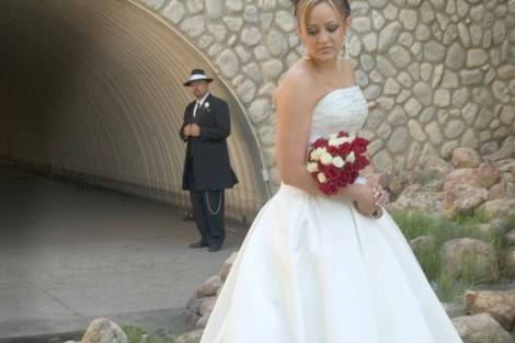 Paradise Design & Photography