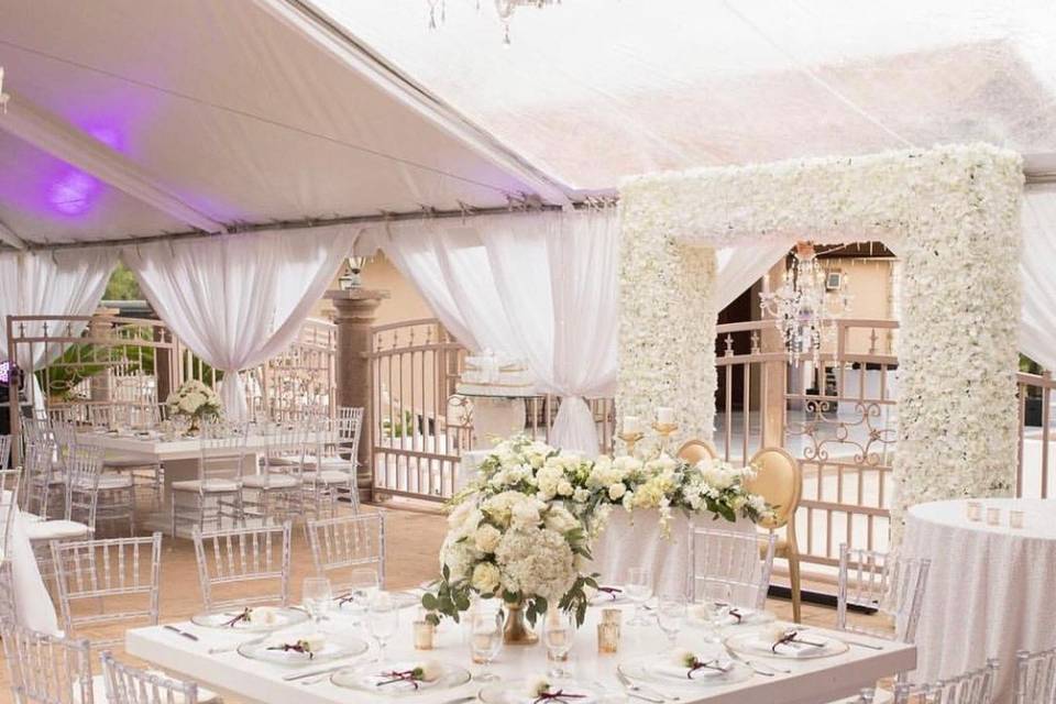 Wedding Reception Dreams