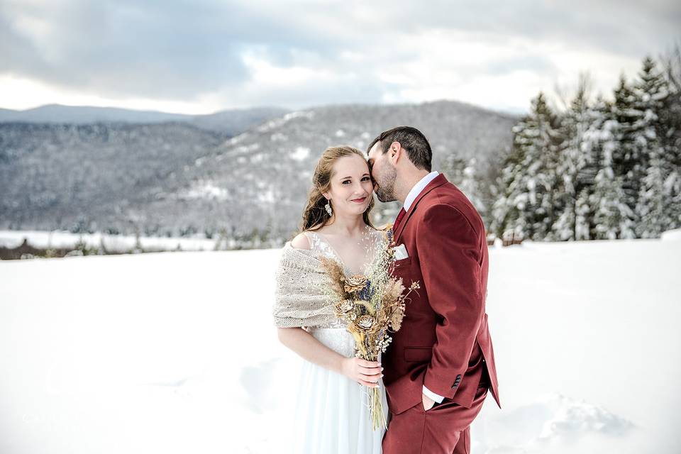 Snow-covered backdrop