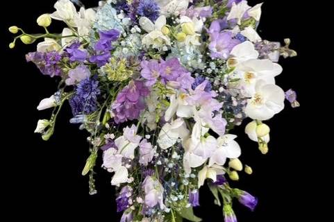 Sweet peas, orchids , larkspur