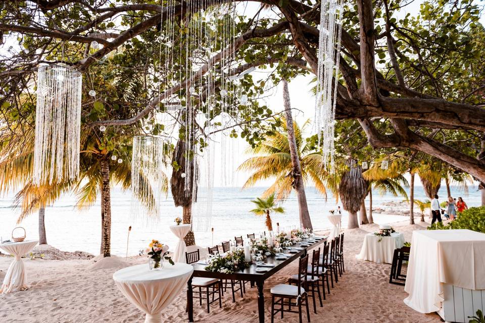 Intimate Beach Reception