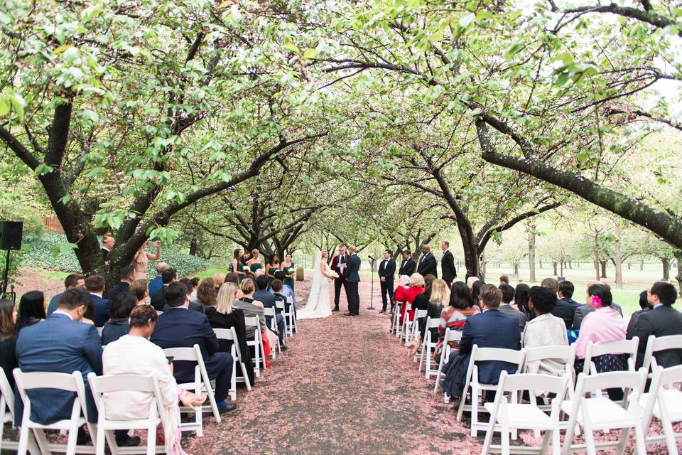 Newlyweds in a garden