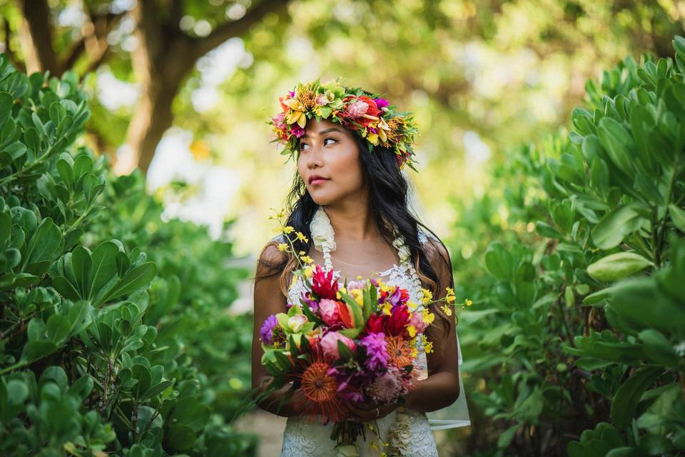 Island elopement