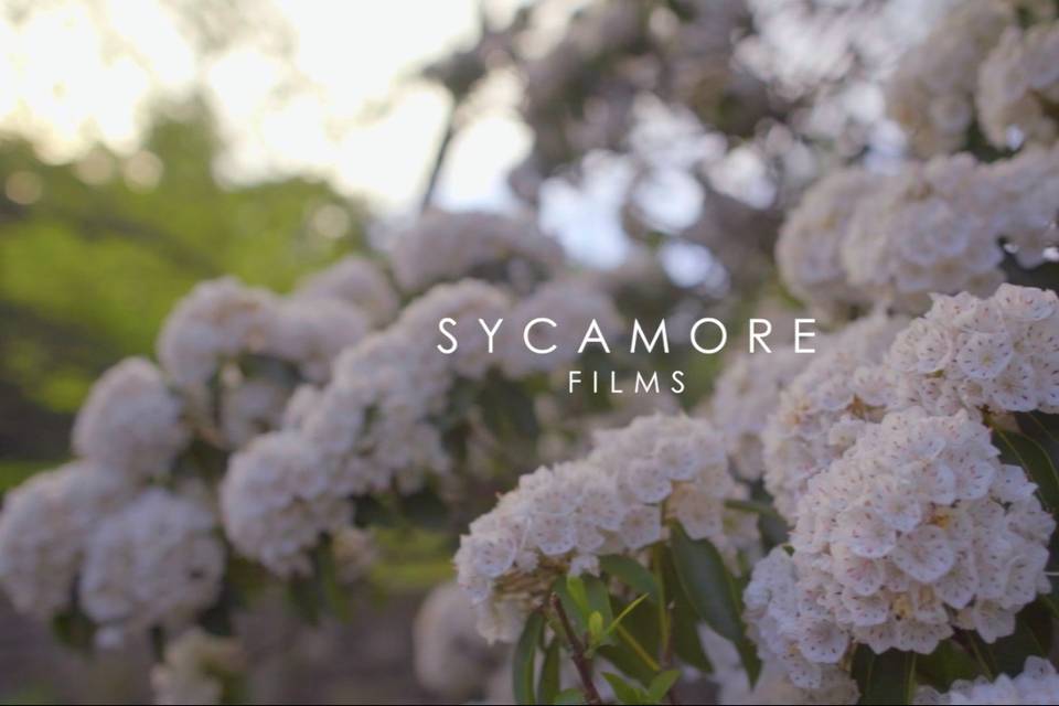 Sycamore Films