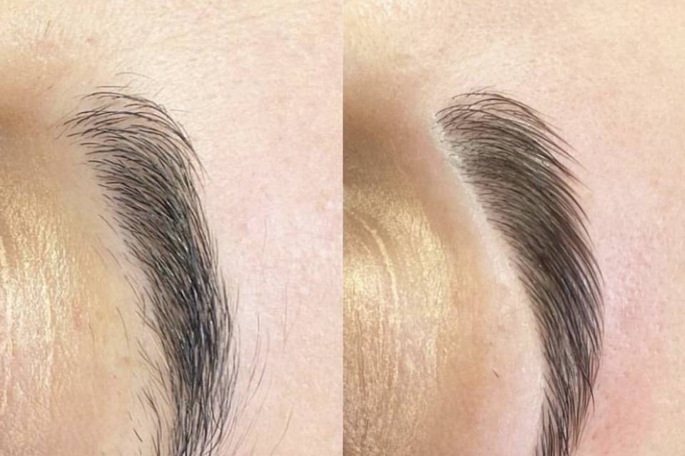Lashed+ deluxe brow
