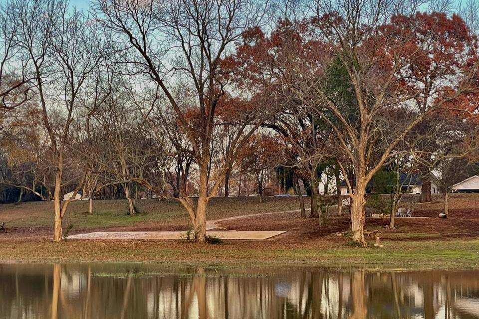 Pond view