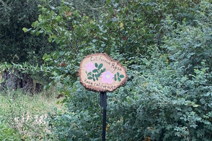 Native Plant Botanical Garden