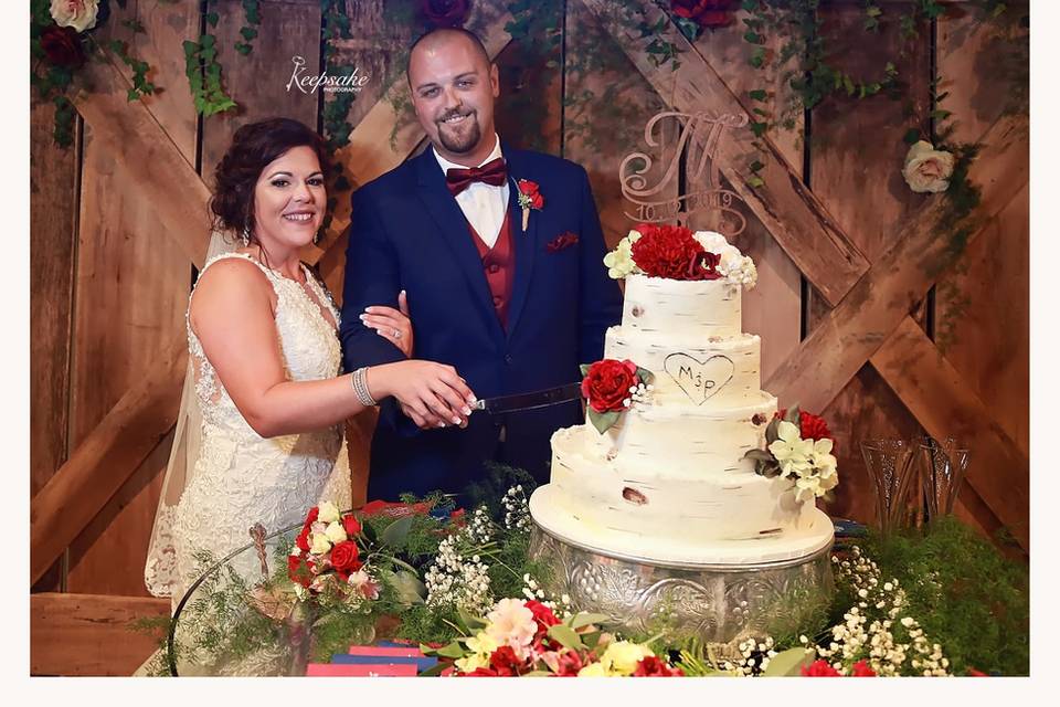 Cake with Backdrop!