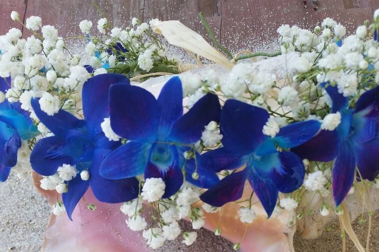 Flor D' Liza Studio