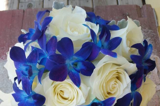 Flor D' Liza Studio