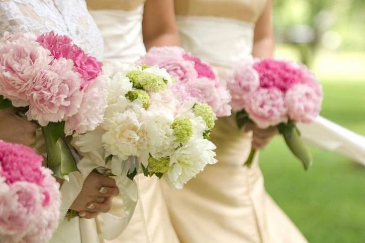 Flor D' Liza Studio