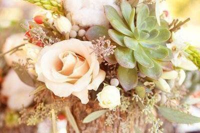 Flor D' Liza Studio