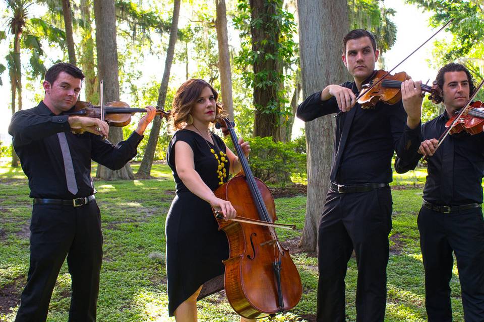 Classern String Quartet