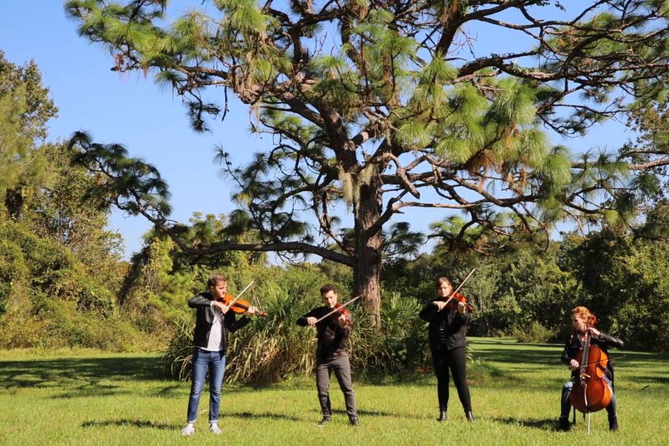 Classern String Quartet