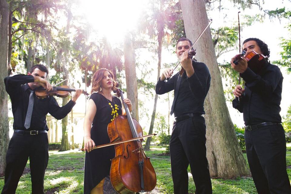 Classern String Quartet