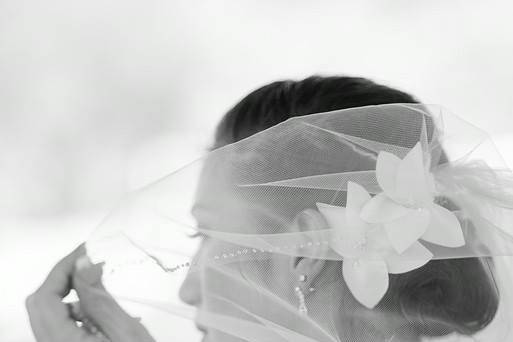 Bride in her veil