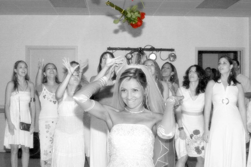 Ademir Batista Photography