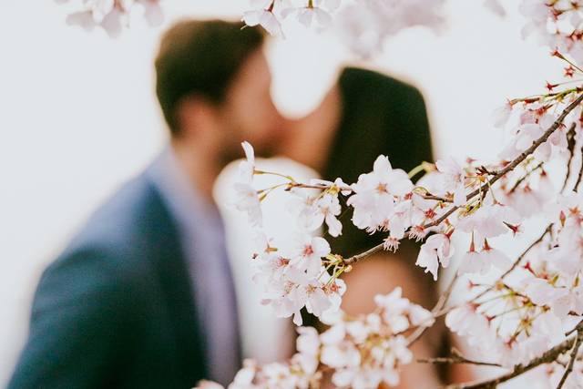 Cherry blossom engagement