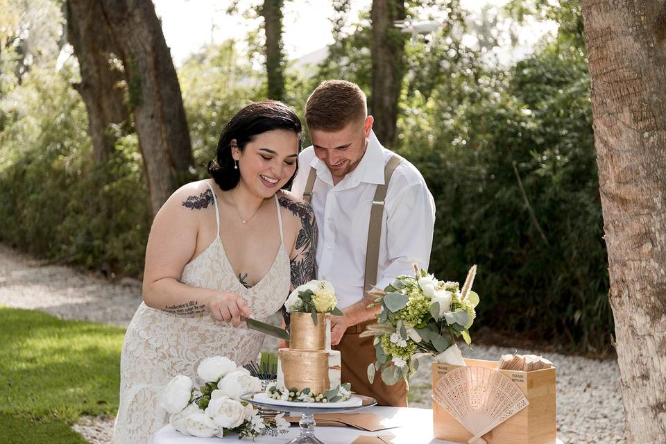 Cake cutting