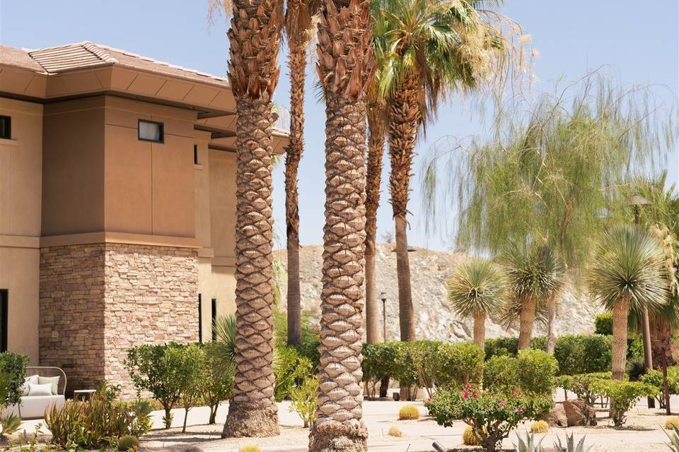 Desert Surroundings 1