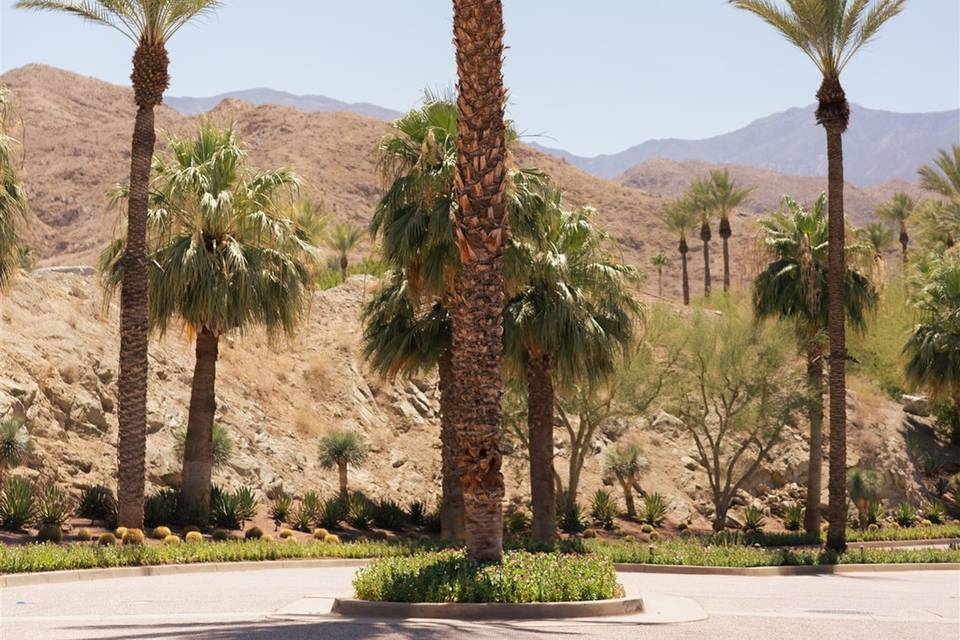 Desert Surroundings 2