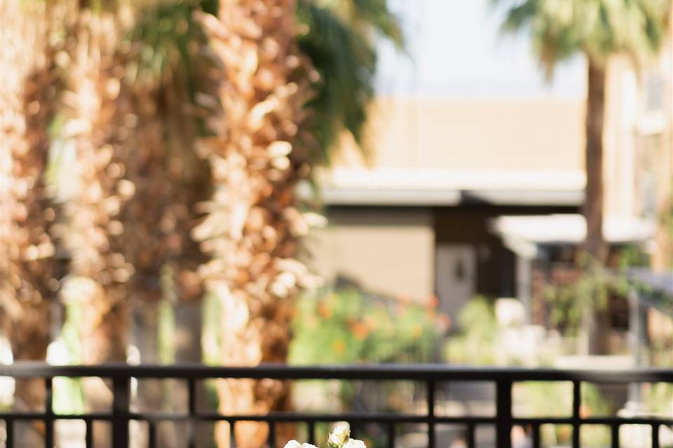Ballroom Terrace