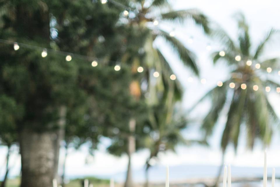 Maui Wedding Photographer