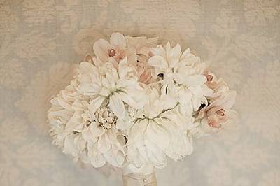 Julie Weisberg Photography