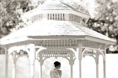 Julie Weisberg Photography