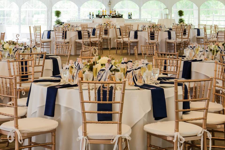 Tent with Navy Accent