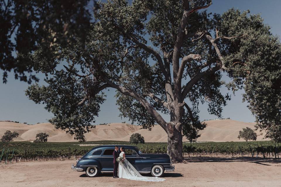 Wedding car - Cass Winery