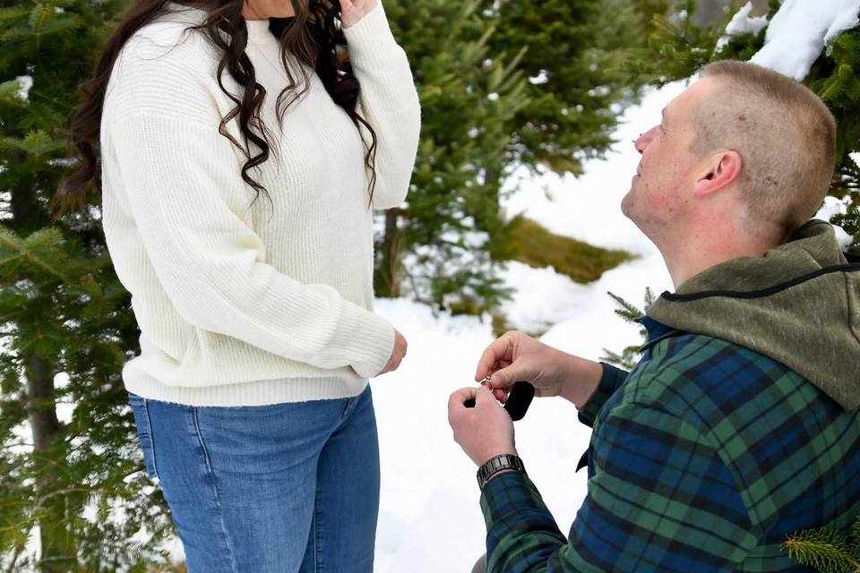 Christmas proposal