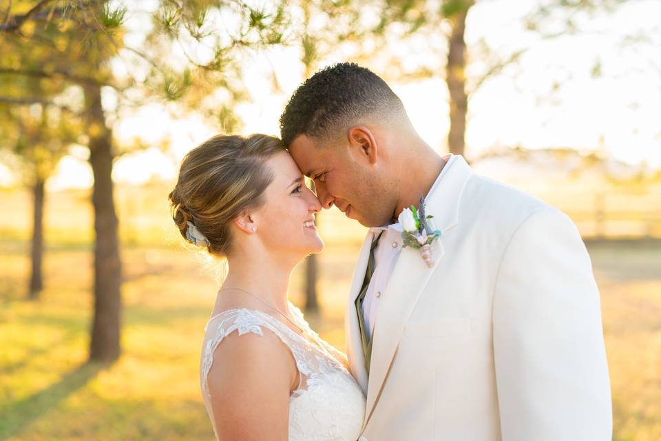 A couple bathed in sunlight