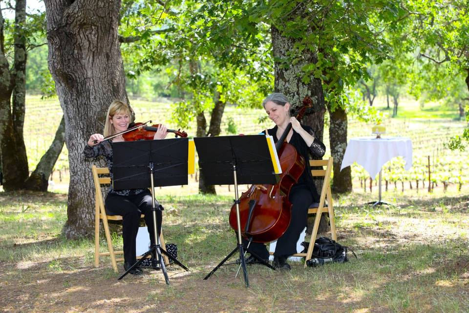 Violin and cello