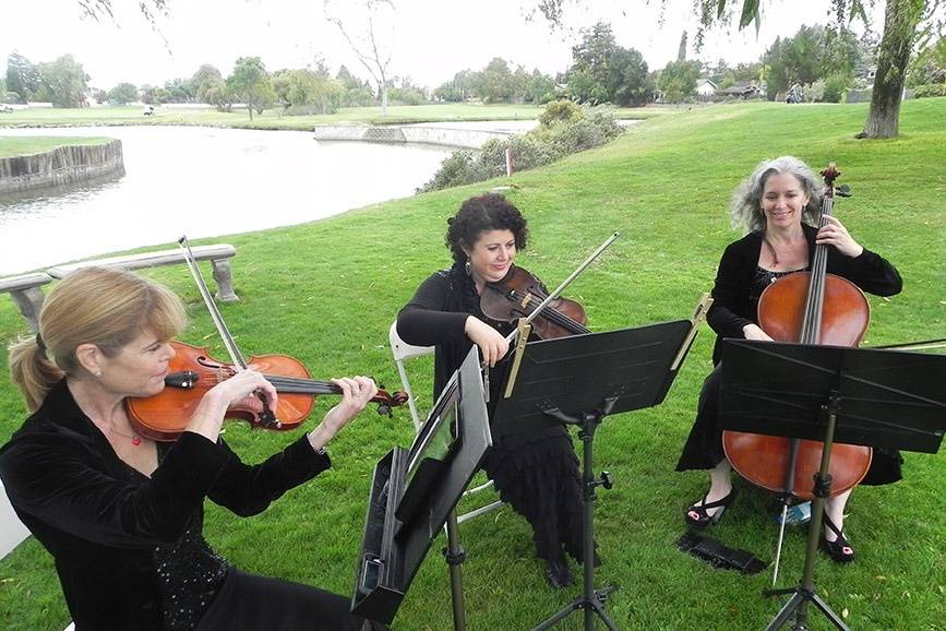 Wedding by the lake