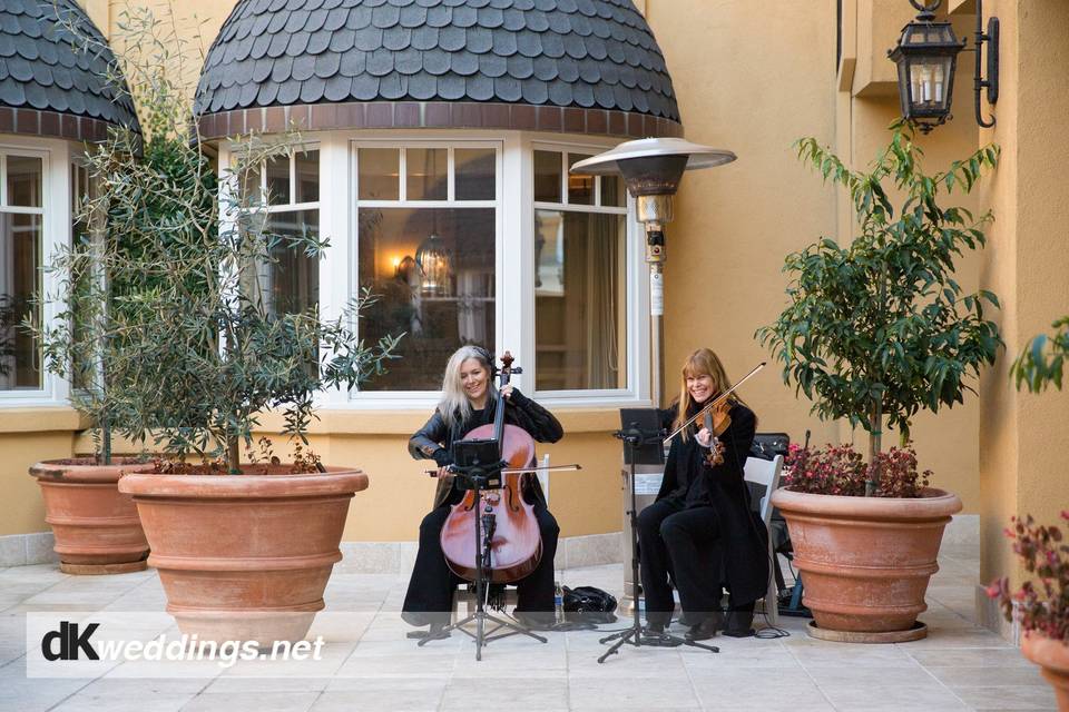 Wedding reception outdoors