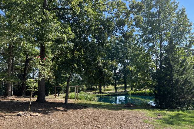 Duck Pond