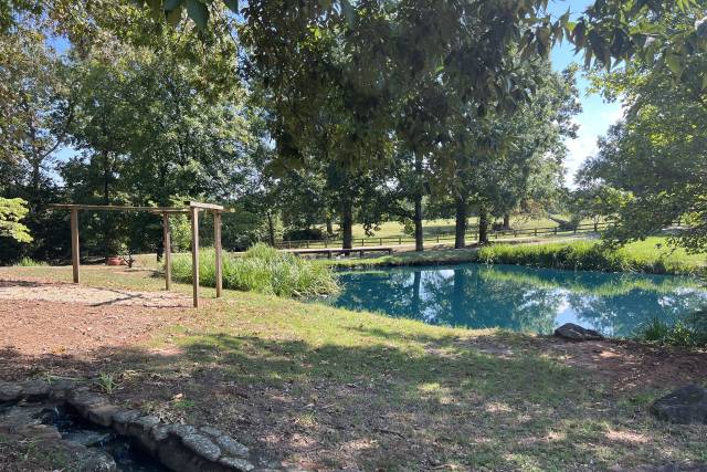 Duck Pond