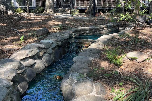 Front of lodge/stream to pond